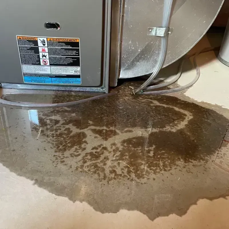 Appliance Leak Cleanup in Effort, PA